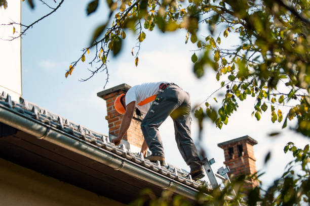 Best Residential Roofing Contractor  in Wahpeton, ND