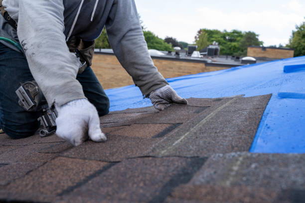 Best Metal Roofing Contractor  in Wahpeton, ND