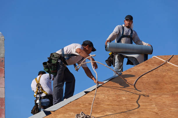 Best Roof Maintenance Services  in Wahpeton, ND